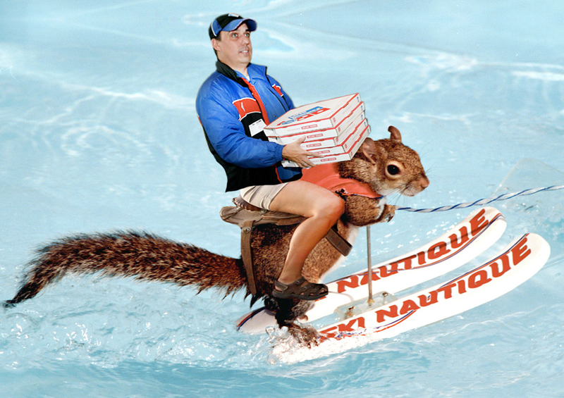 Illustration for article titled Domino's Pizza Man Gallery